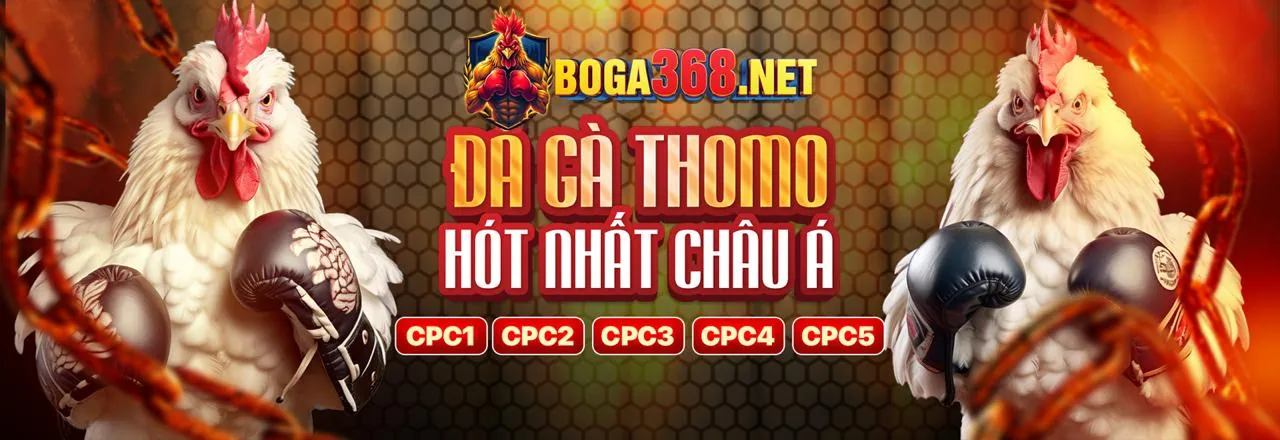 Giải thích kèo Châu Á trong cá cược bóng đá